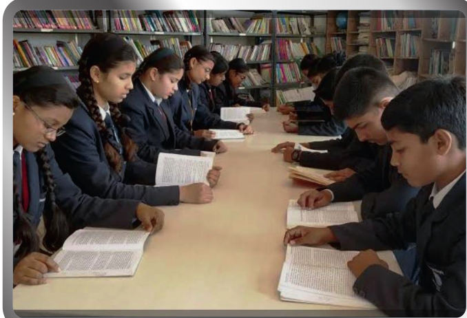 Aly Library